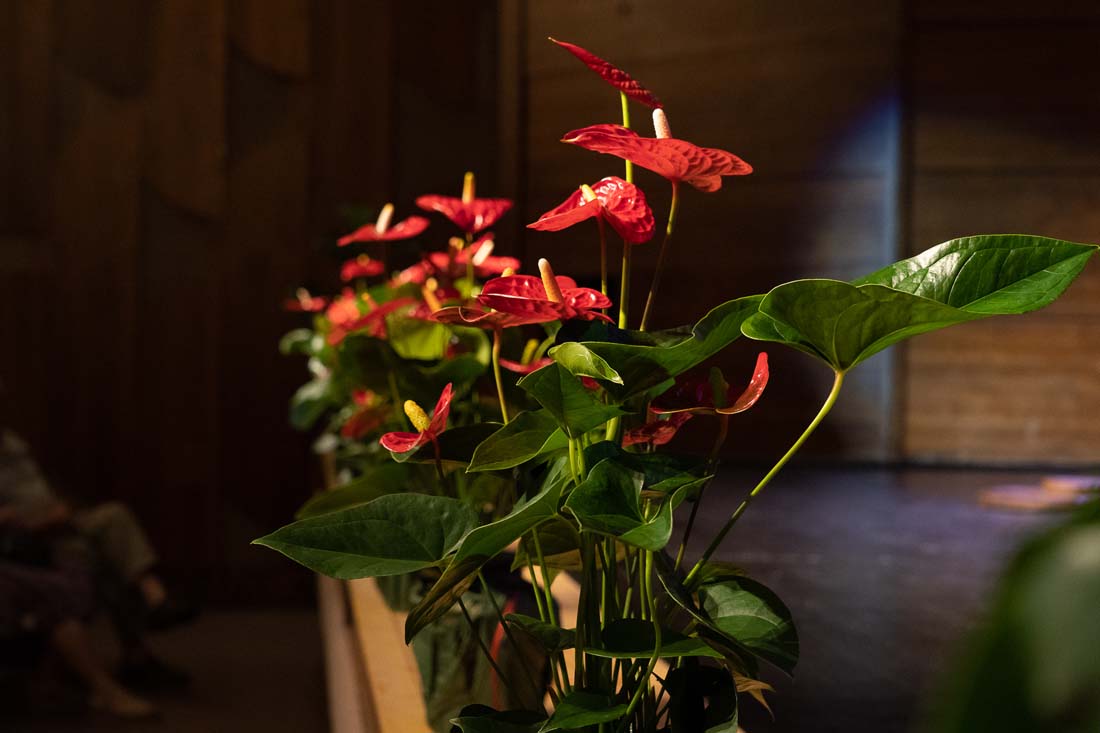 Cegled 240711 0101.jpg