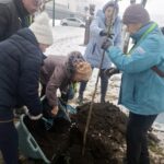 467252184 571144338837374 5542822998408943295 N 150x150