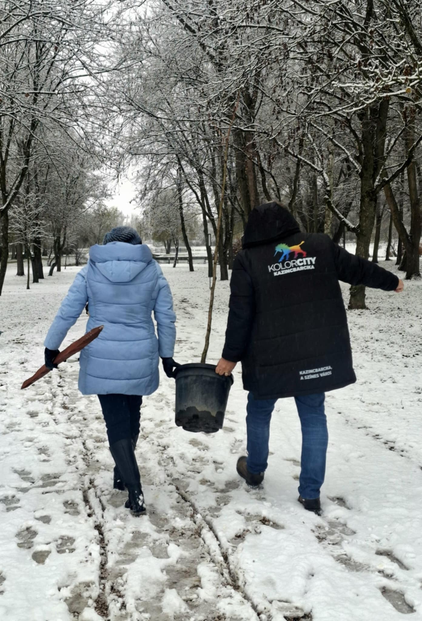 467270534 571143925504082 7747486707023659383 N